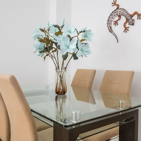 Center Confortable Large And Beauty. Apartment Malaga